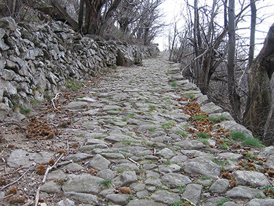 Randonnée en Cévennes Ardéchoises